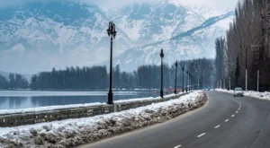 Kashmir