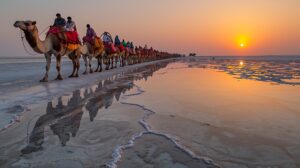 Car Rental