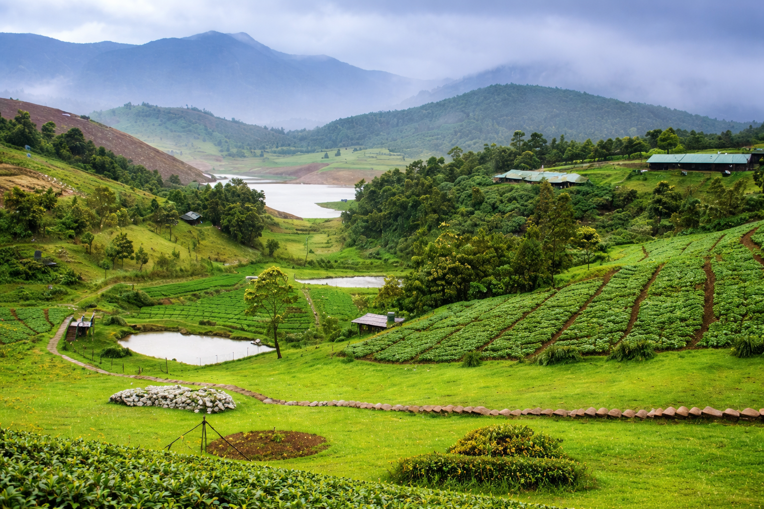 Ooty – Calm & Scenic Retreat