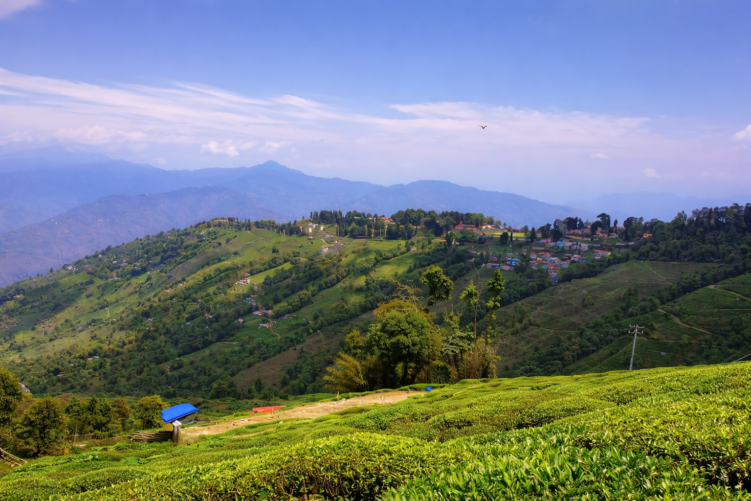 Darjeeling – Misty Hills & Tea Gardens
