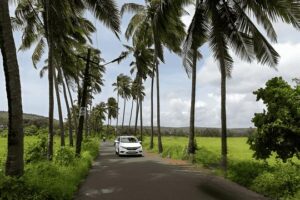 Bangalore to Coorg – Peaceful Nature Road Trips in India