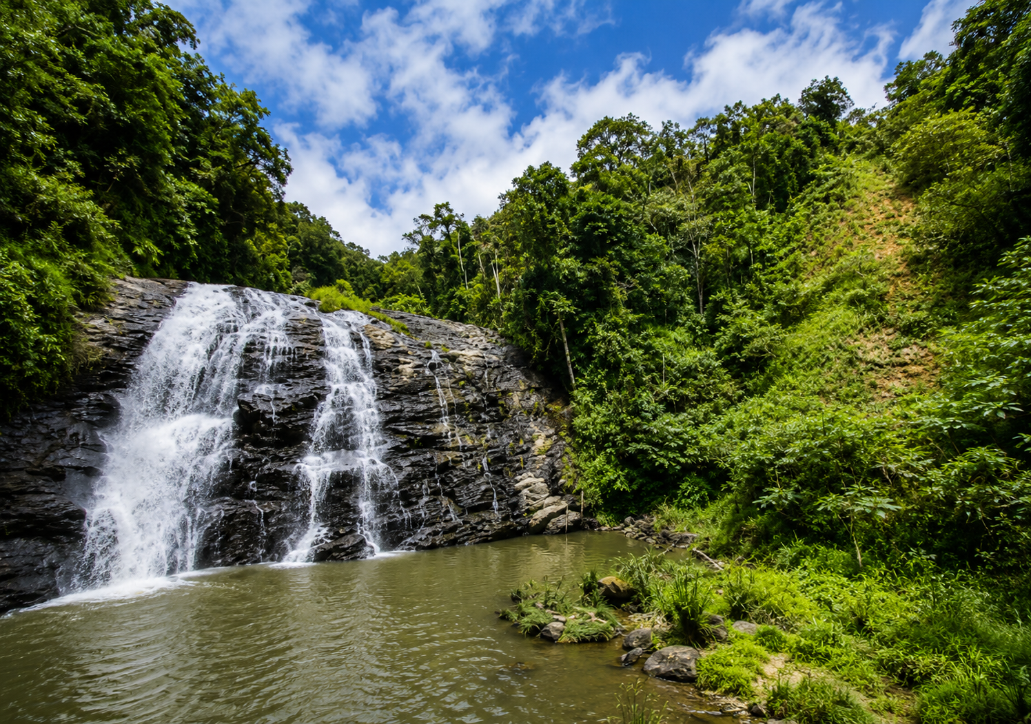 Coorg
