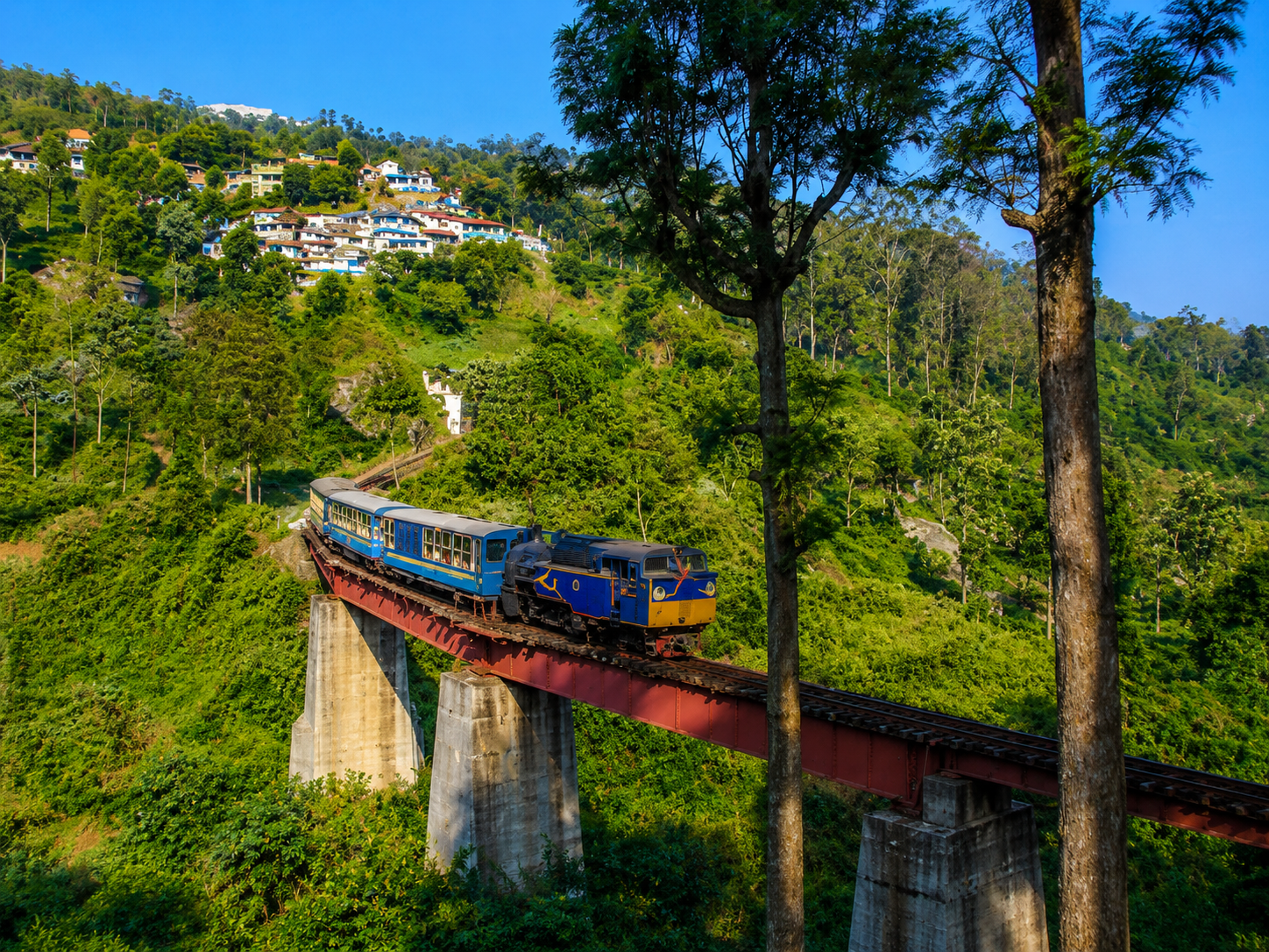 Nilgiri Mountain Railway