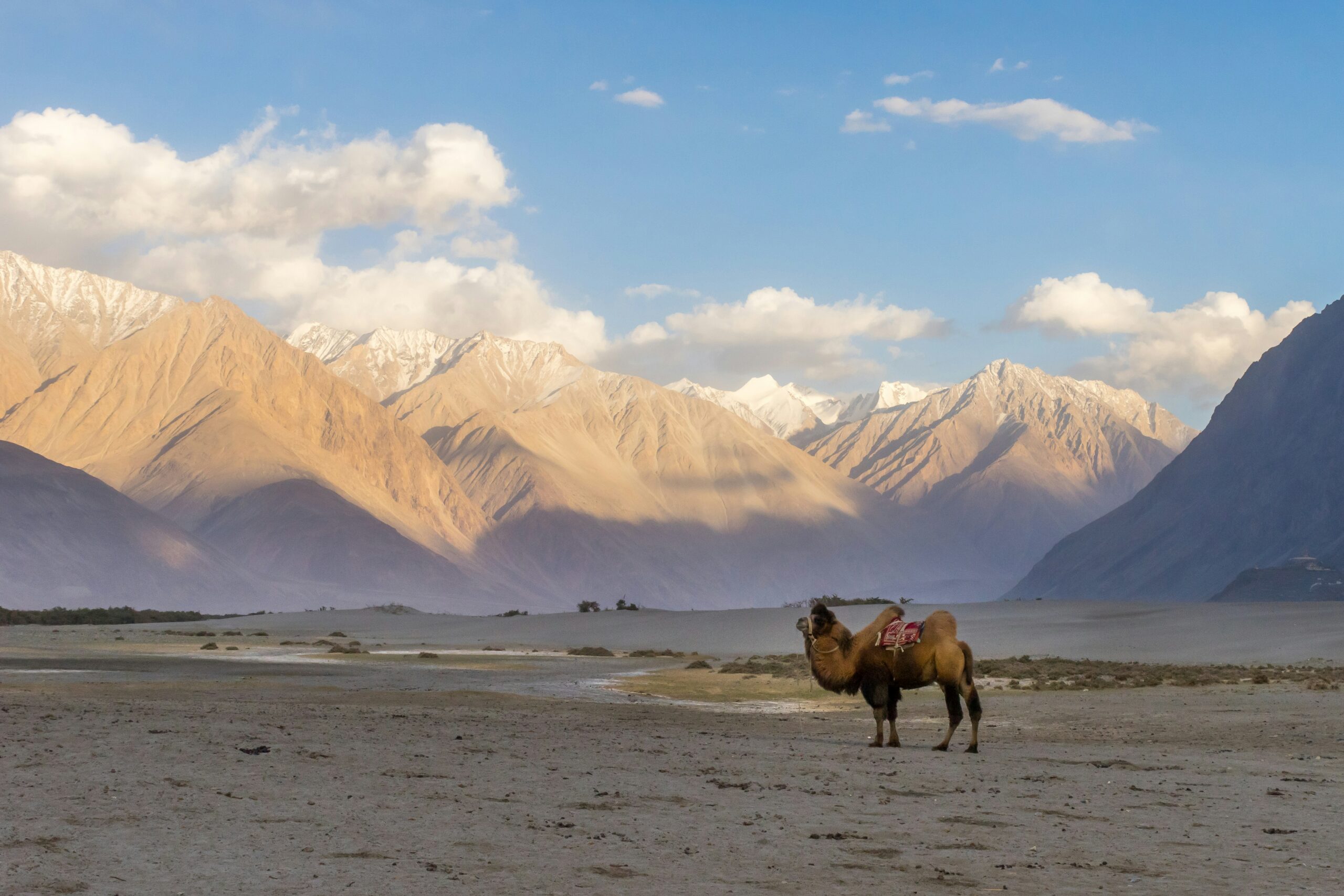 Leh to Nubra Valley