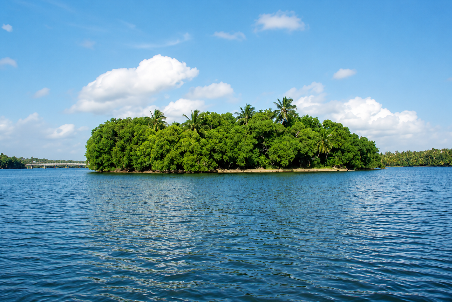Ponnumthuruthu Island