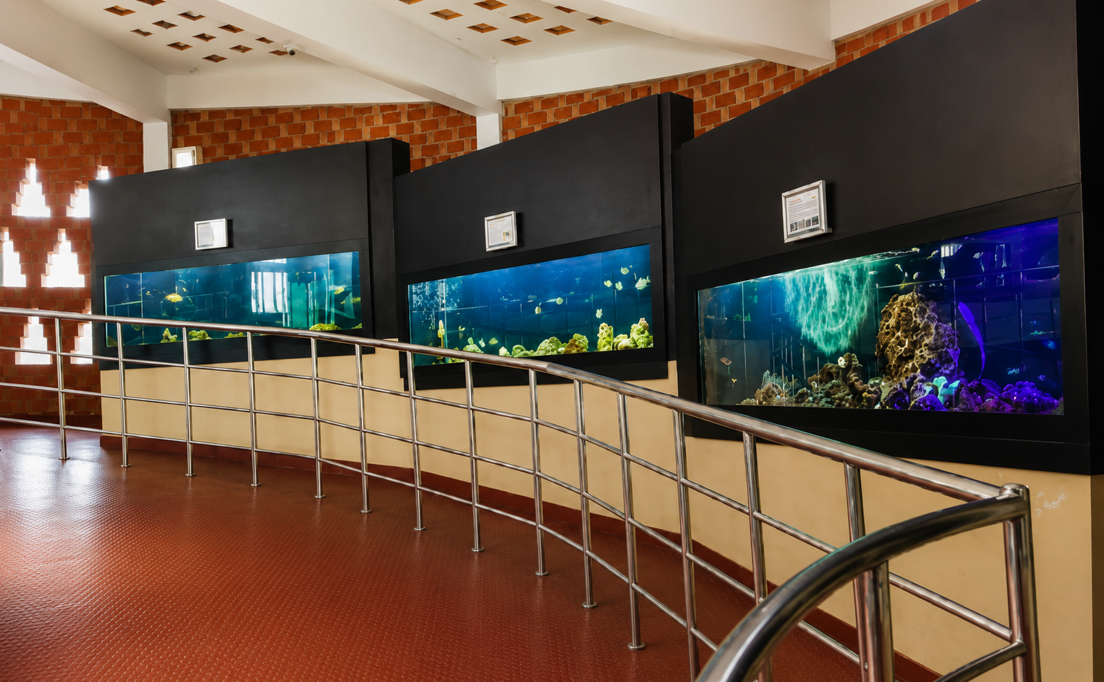 Varkala Aquarium