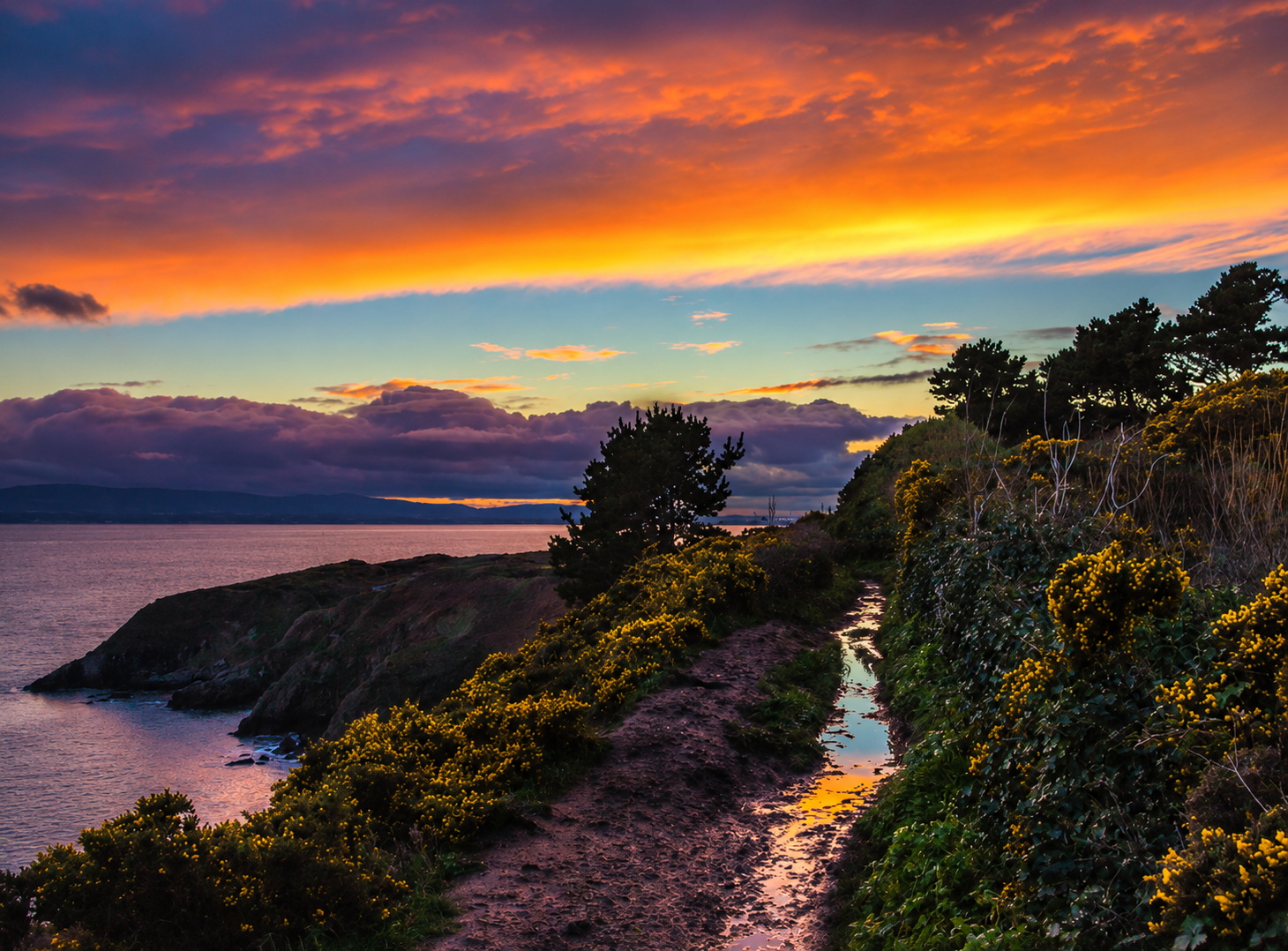 Cliff Walk at Sunset